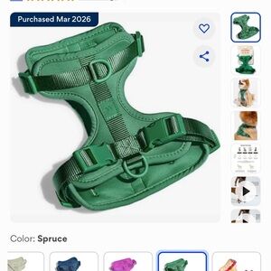 Brand New Wild One Harness and Leash